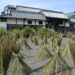 乾燥風景（「人形立て」）
